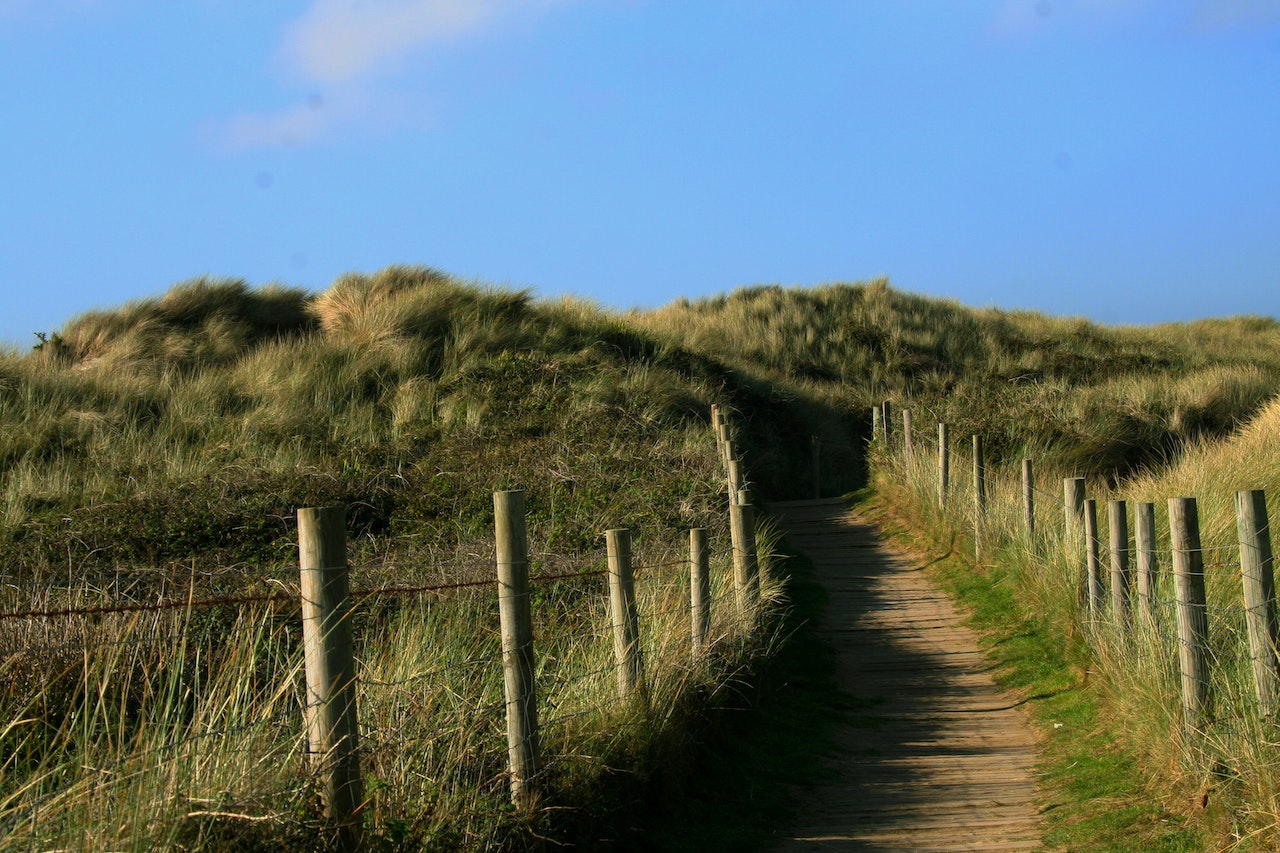 Pathway With Fence Enclosed Grass Field On Each Side