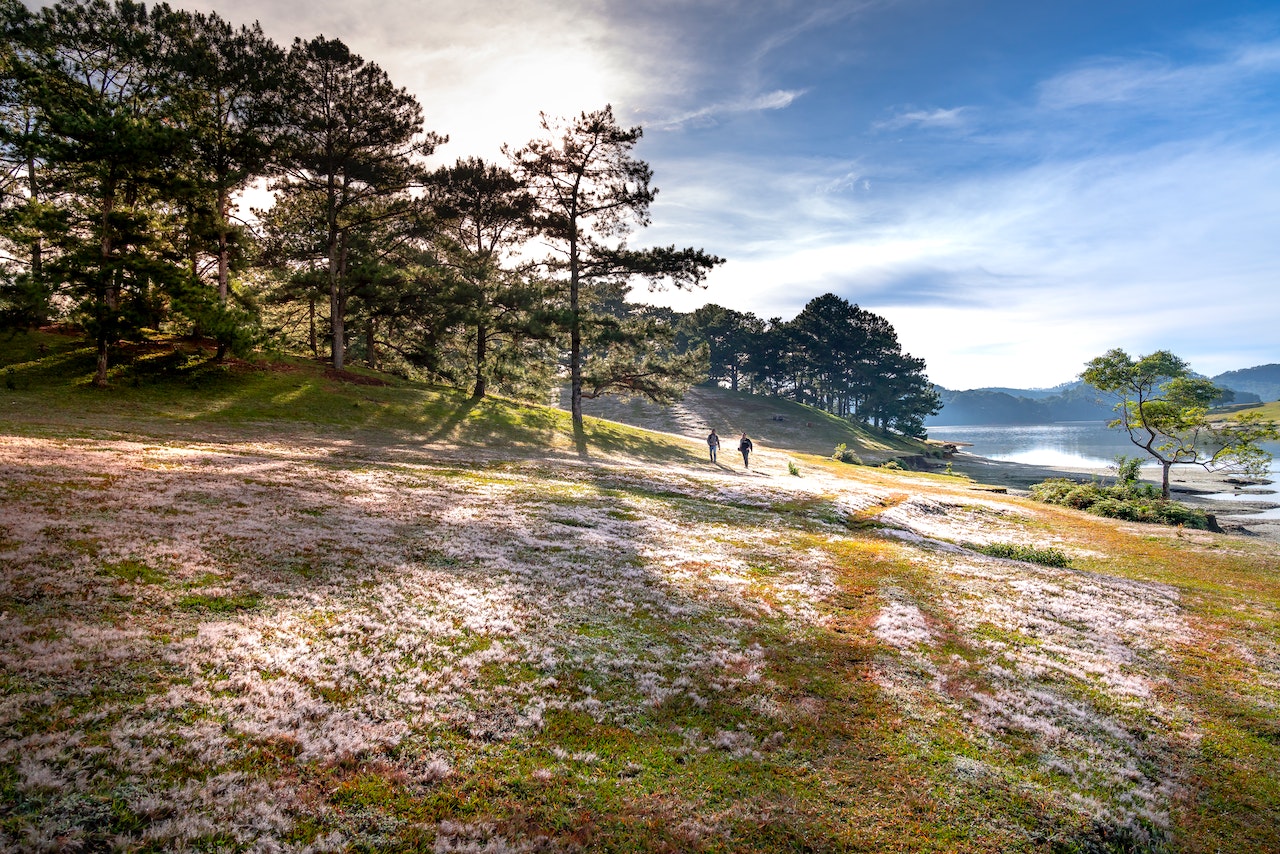 Two people walking in a meadow