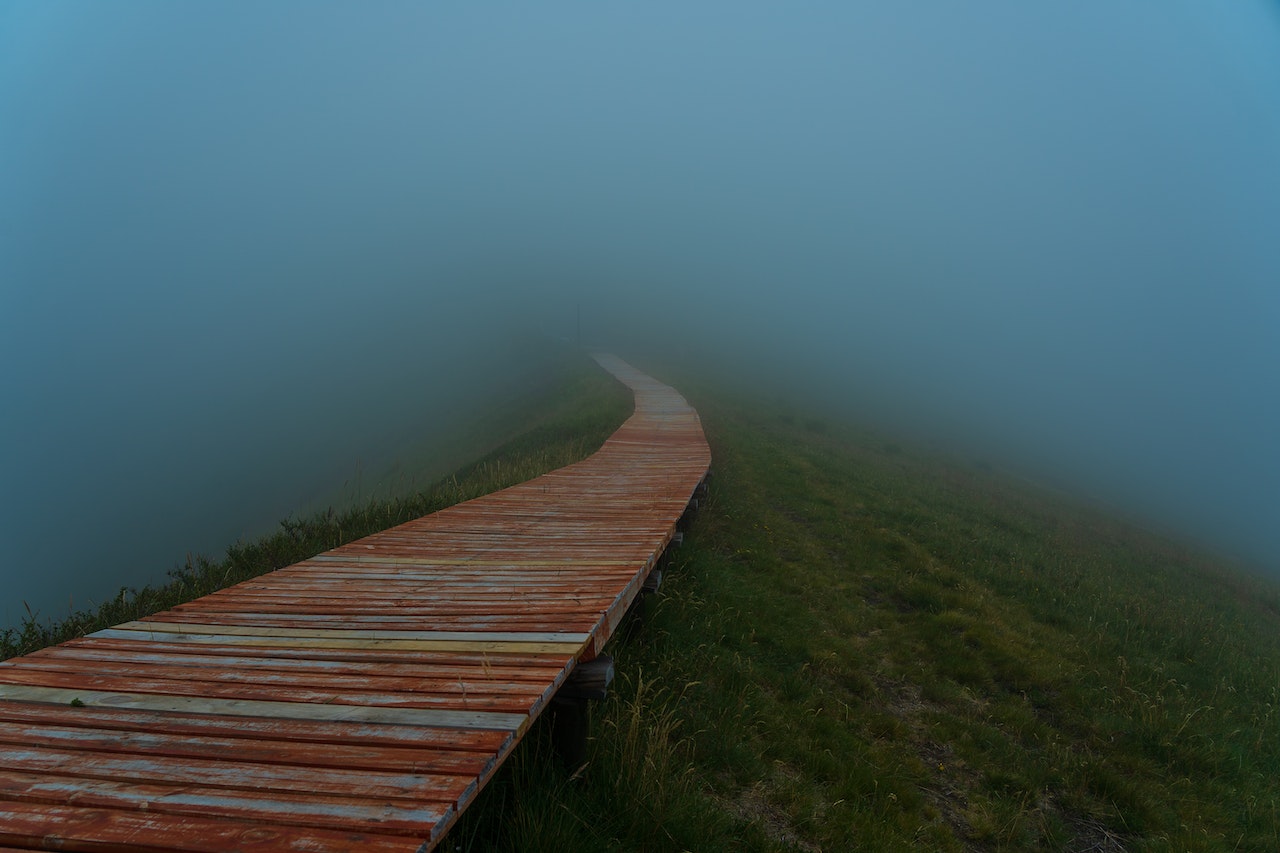 Pathway And Grass Field