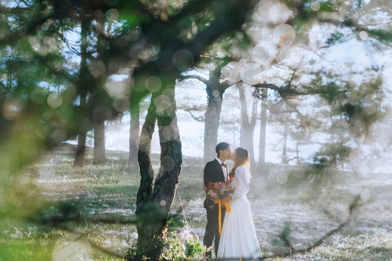 Bird And Groom Kissing Near Tree