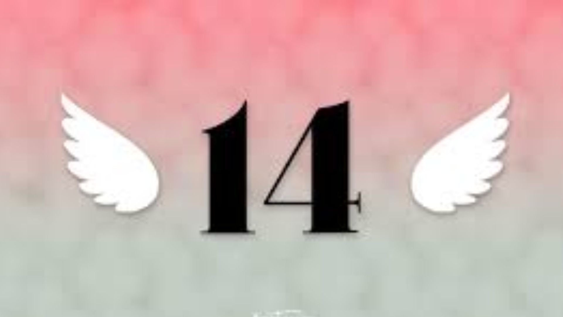 Number 14 With Wings