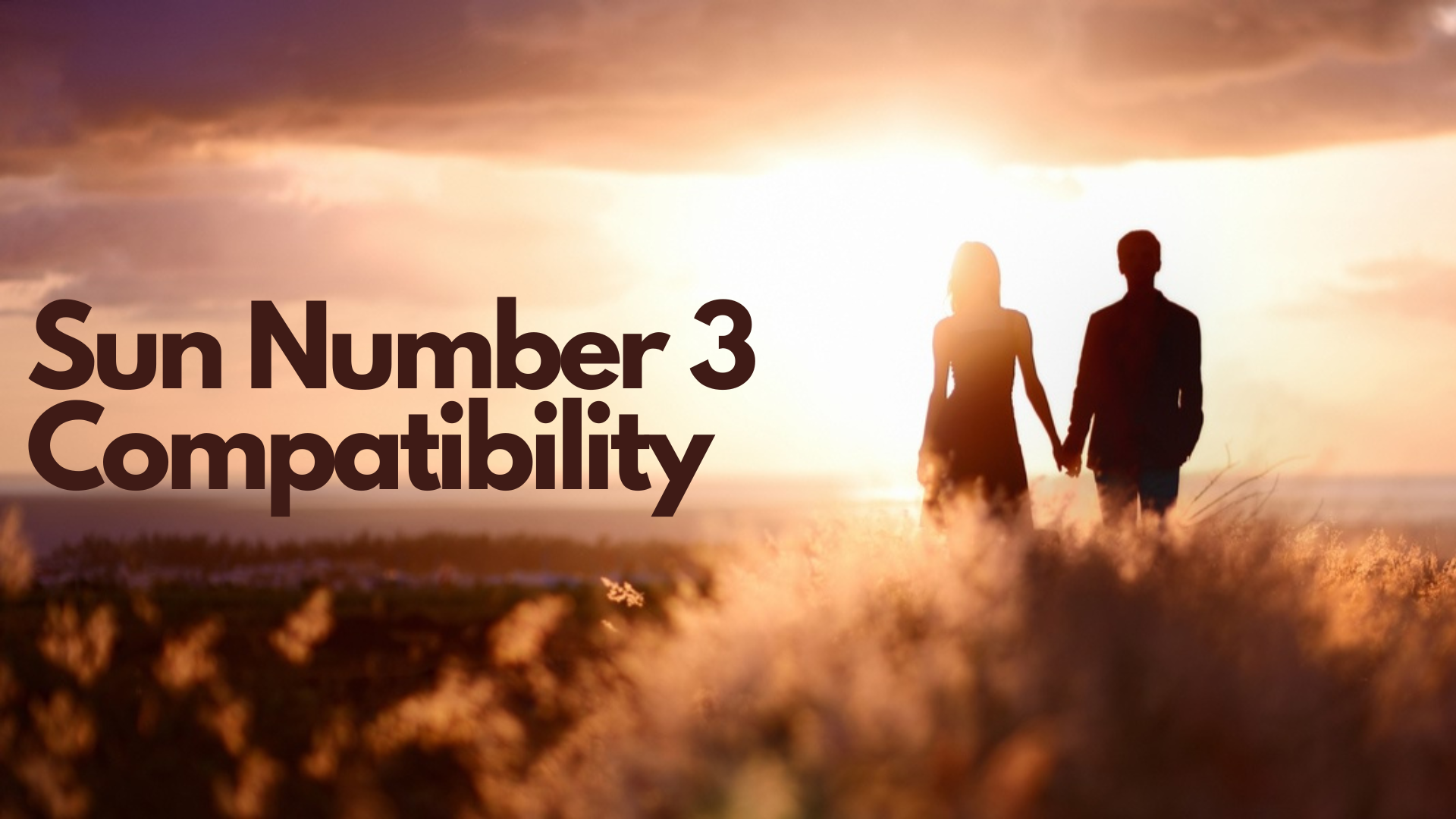 A couple holding hands while looking at the sea with words Sun Number 3 Compatibility